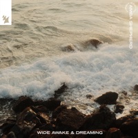 Wide Awake & Dreaming - Single - Amba Shepherd & Summer Is Calling