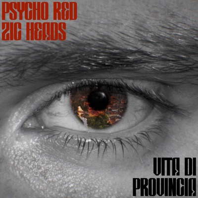 Vita di provincia (feat. Zic Heads) - Single