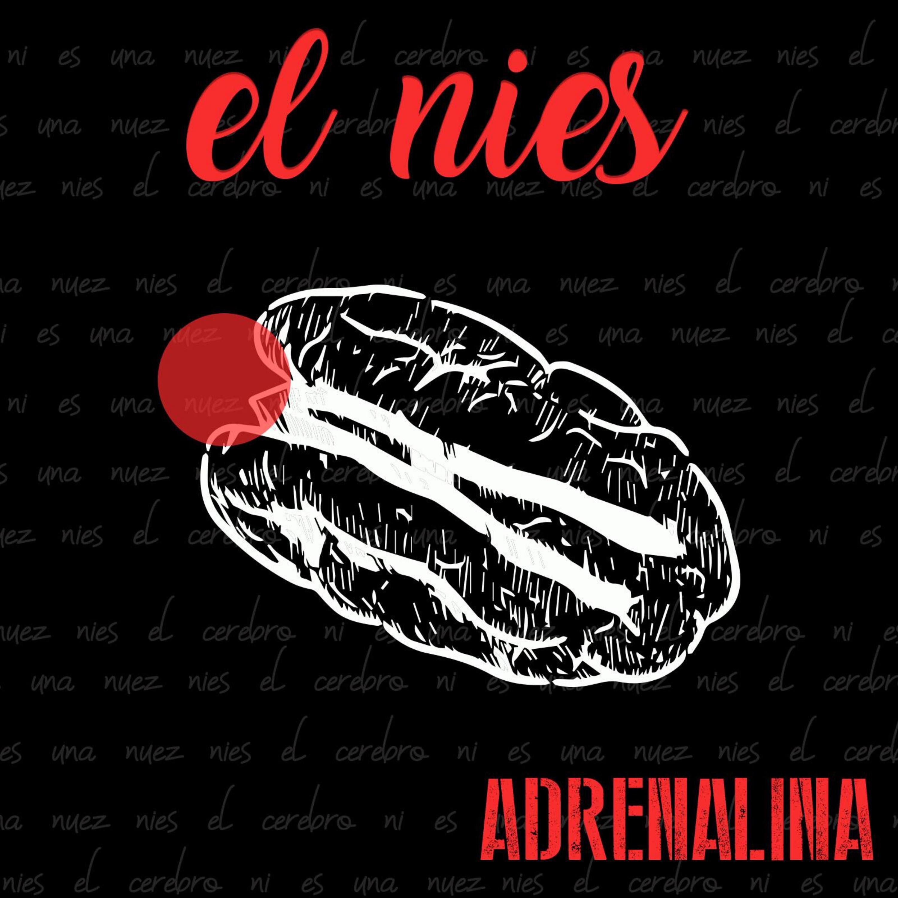 El Nies