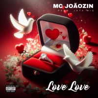 MC Joãozin - Love Love - Single - Jota Mig