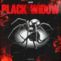 Black Widow