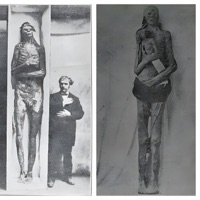 A Pool From Outside The Sky - Single - Sha Tha Shaman