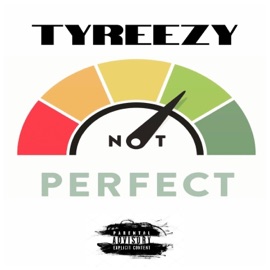 Perfect TyReezy