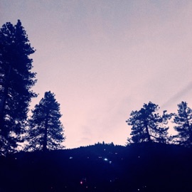 letter to you Matt Freer