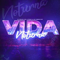 Vida Noturna - Single - DJ MOLINA OFC, VitinMc & MC Fabinho SP