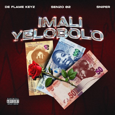 Imali Yelobolo - Single