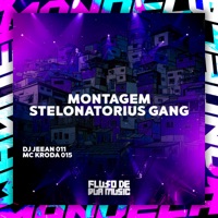 Montagem Stelonatorius Gang - Single - DJ JEEAN 011 & Mc Kroda 015