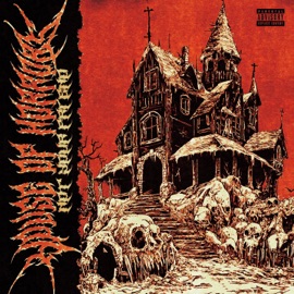 WANNA PLAY? (feat. SPEAK) NYF NOT YOUR FRIEND