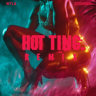 Hot Ting (Remix) - Single