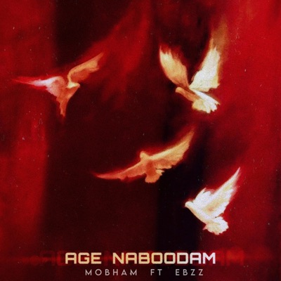 Age Nabodam (feat. EBZ & Ali Danesh)