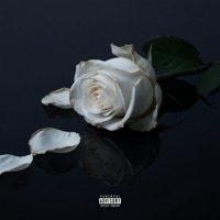 Trust (feat. Shaakey) - Single - MMD