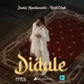 DIDULE