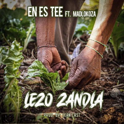 Lezo zandla (feat. Madlokoza) - Single