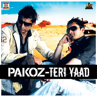 Teri Yaad (feat. Zafar, Abbas & DJ Ali Mustafa)
