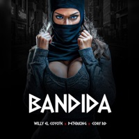 BANDIDA - Single - Dj Willy El Coyote, PeterKing & Cory RD