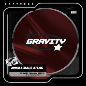 Gravity (Anakim Remix) - Single