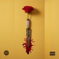 B.A.R.R.I.O (feat. La Alianza & J.LaB) - Single - Yrak Saenz