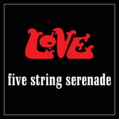 Five String Serenade artwork