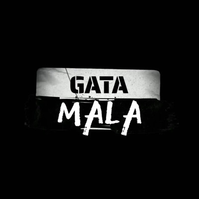 Gata Mala (feat. Kevin ZH) - Single