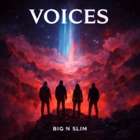 Voices - Single - Big N Slim