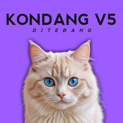 DJ TEBANG - Kondang, Vol. V