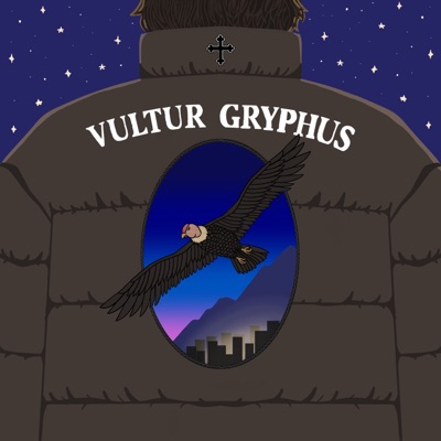 VULTUR GRYPHUS