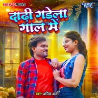 Dhodhi Gadela Gal Me - Single - Anil Arji