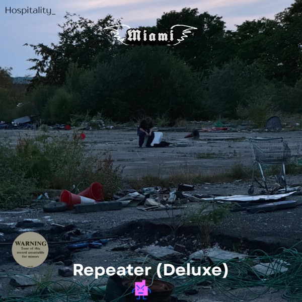 Repeater