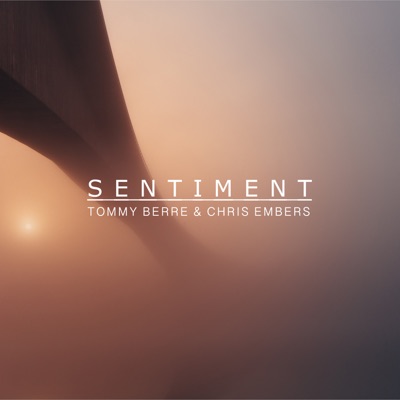 Sentiment - Single