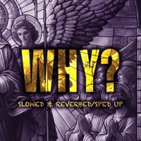 Why? (Slowed & Reverbed / Sped Up) - Single - Just Ryder, Tournier & Dreadz