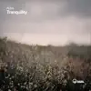 Rytes - Tranquility