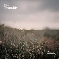 Tranquility — Rytes
