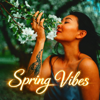 ZenoiX - ' Spring Vibes ' обложка