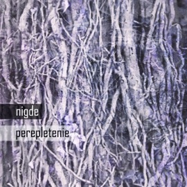 Forking Paths JumJum