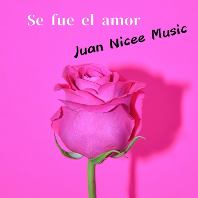 Se Fue el Amor (feat. Lele aitana) - Single