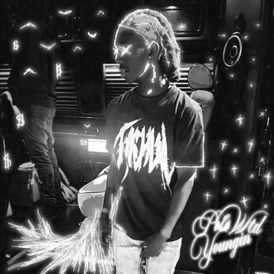 Wtd (feat. Polo Youngin & Teenslug) - Single