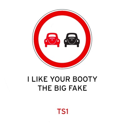 I Like Your Booty / The Big Fake (Steve Bug Presents Traffic Signs) - Single