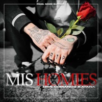 Mis Homies - Single - Erin Comando Katana, Noize Burner & Comando Katana