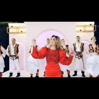 Këndon zogu gem më gem