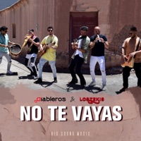 No Te Vayas - Single - Diableros Jujeños & Los Tekis