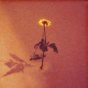 Astronauts - Single