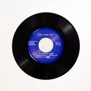 Steal Smoked Fish / In the Shadow of the Western Hills - Single