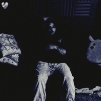 Dead Of Night - Single - Shenendoah