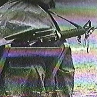 NEGOMICHAELMYERS - Single - SHAO KANE