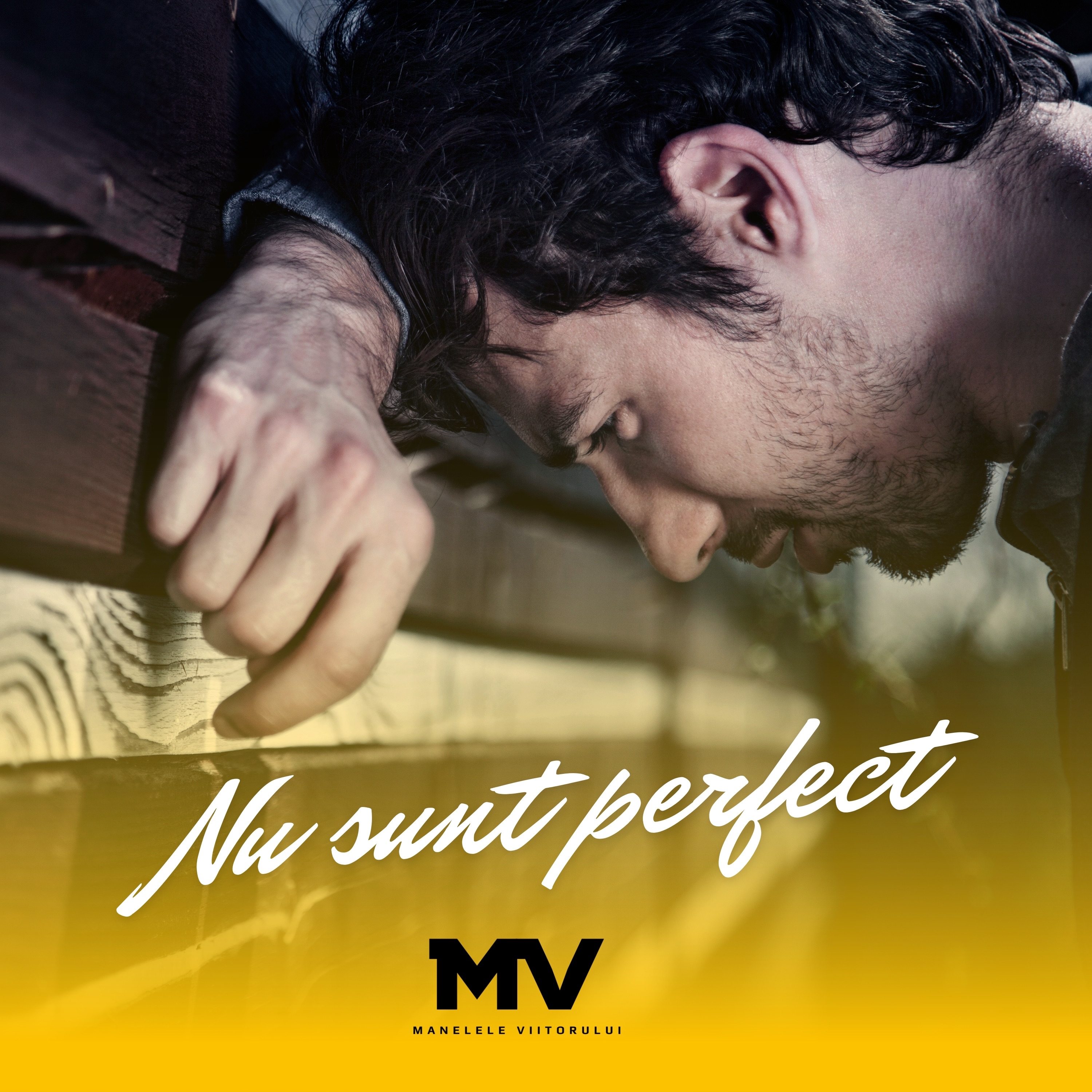 Nu sunt perfect - Single