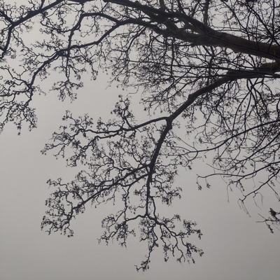 thoughts of u (feat. kozzvme) - Single