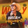 Willy Vaqueiro - Eu Amei Uma Mulher