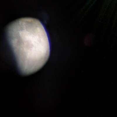 in (end) love - Single