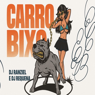 MEGA FUNK (CARRO BIXO) (feat. DJ Requena) - Single