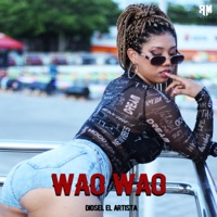Wao Wao - Single - diosel el artista